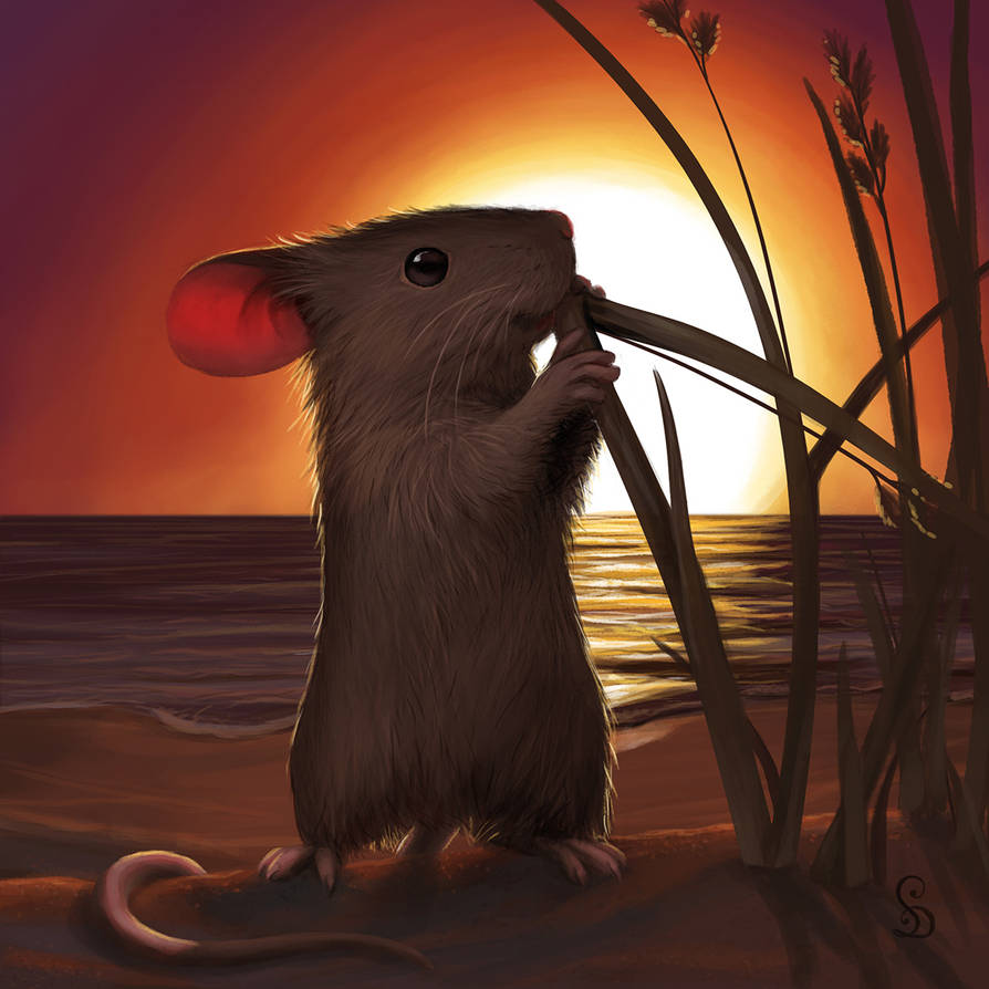 Sunset Mouse by love--or--death Sunset Mouse by love--or--death