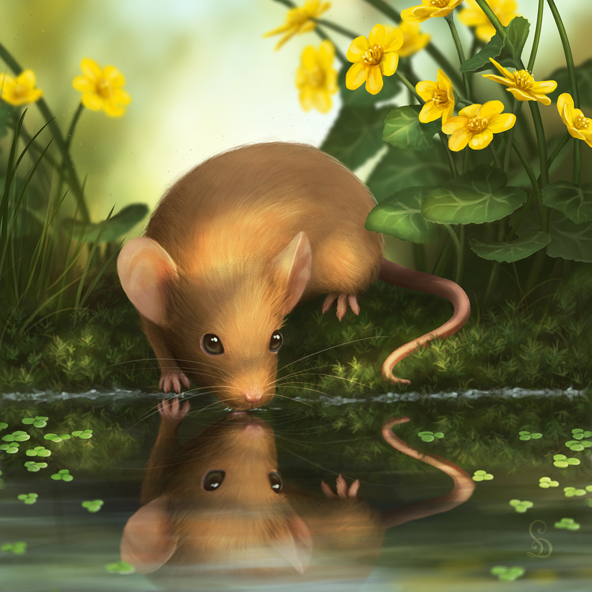 Water Mouse by love–or–death on DeviantArt