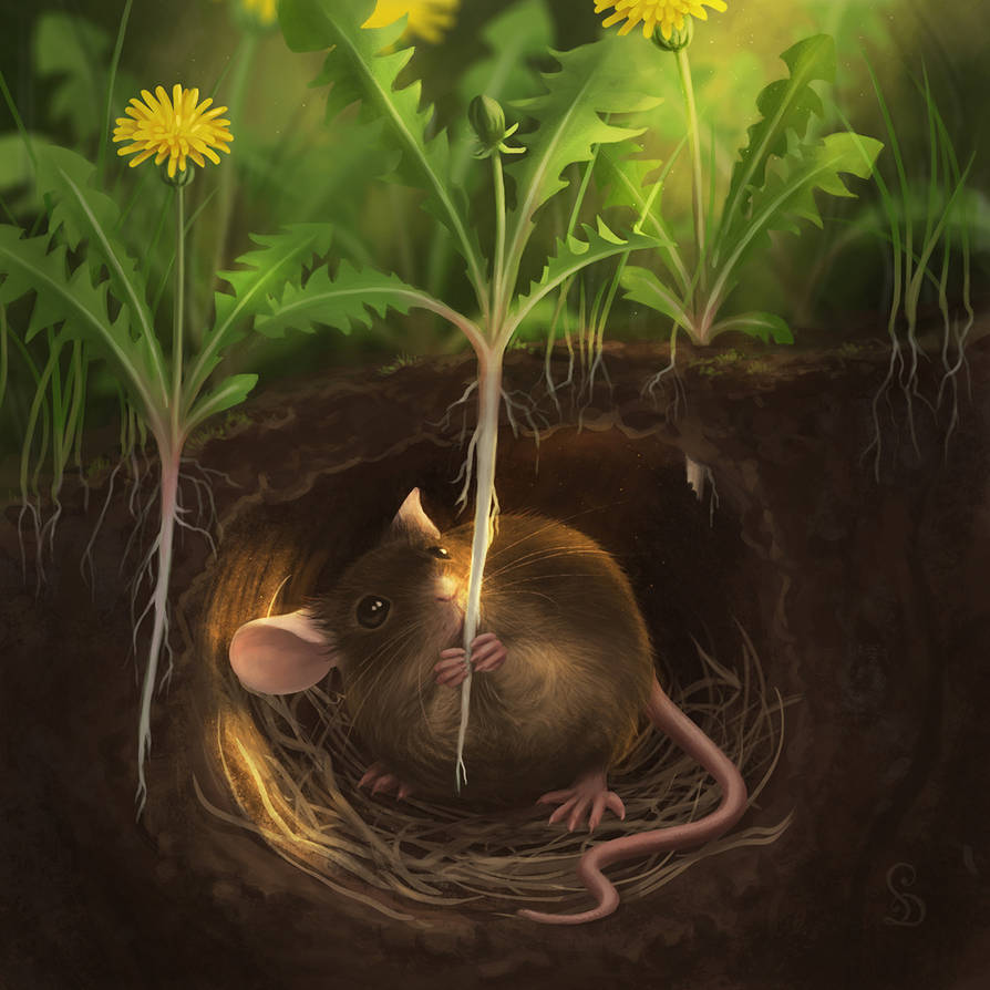 Earth Mouse by love--or--death