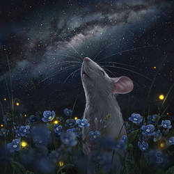 Stars Mouse