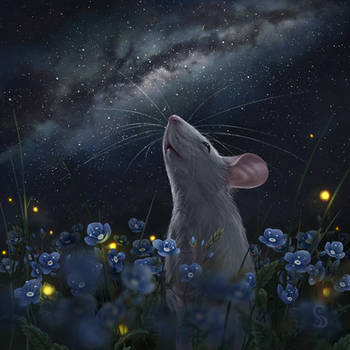 Stars Mouse by love--or--death