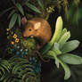 Jungle Mouse