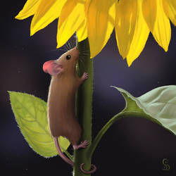 Sunflower Mouse