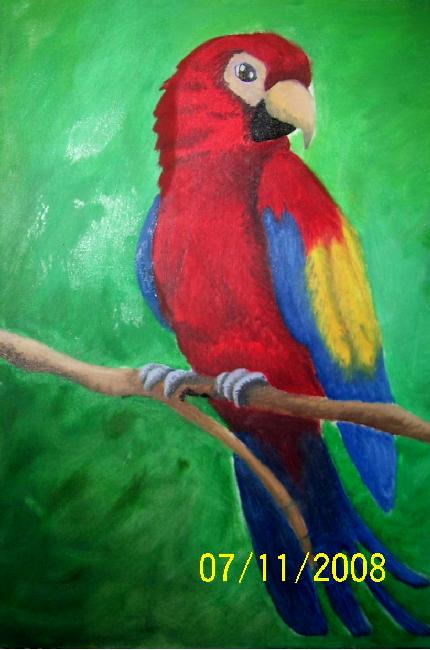 Guacamaya roja by Nidianinoche on DeviantArt Guacamaya roja by Nidianinoche on DeviantArt
