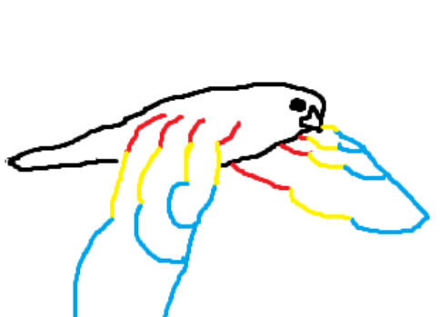 Myewing how wings work 2 by mmader3261 on DeviantArt