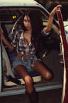 The Passenger Side Door by Moisl