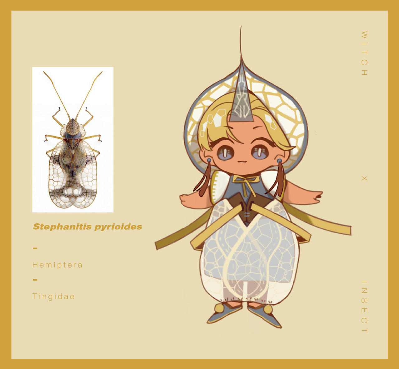 Stephanitis pyrioides by toastdon on DeviantArt