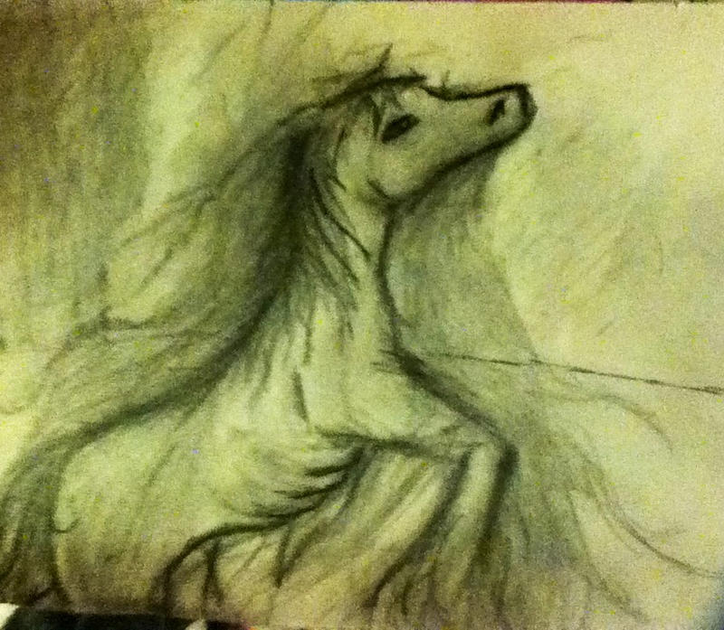 Random Horse Sketch