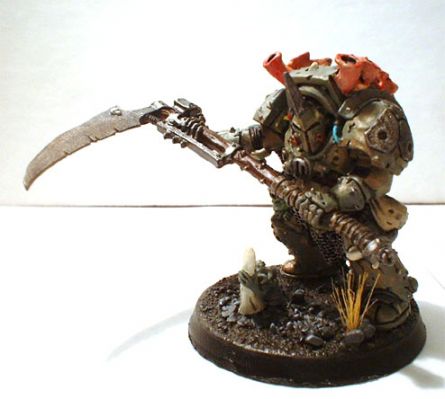 Typhus