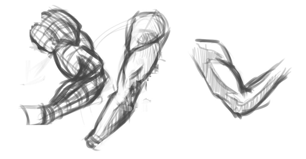 Arm Study by Behastie on DeviantArt
