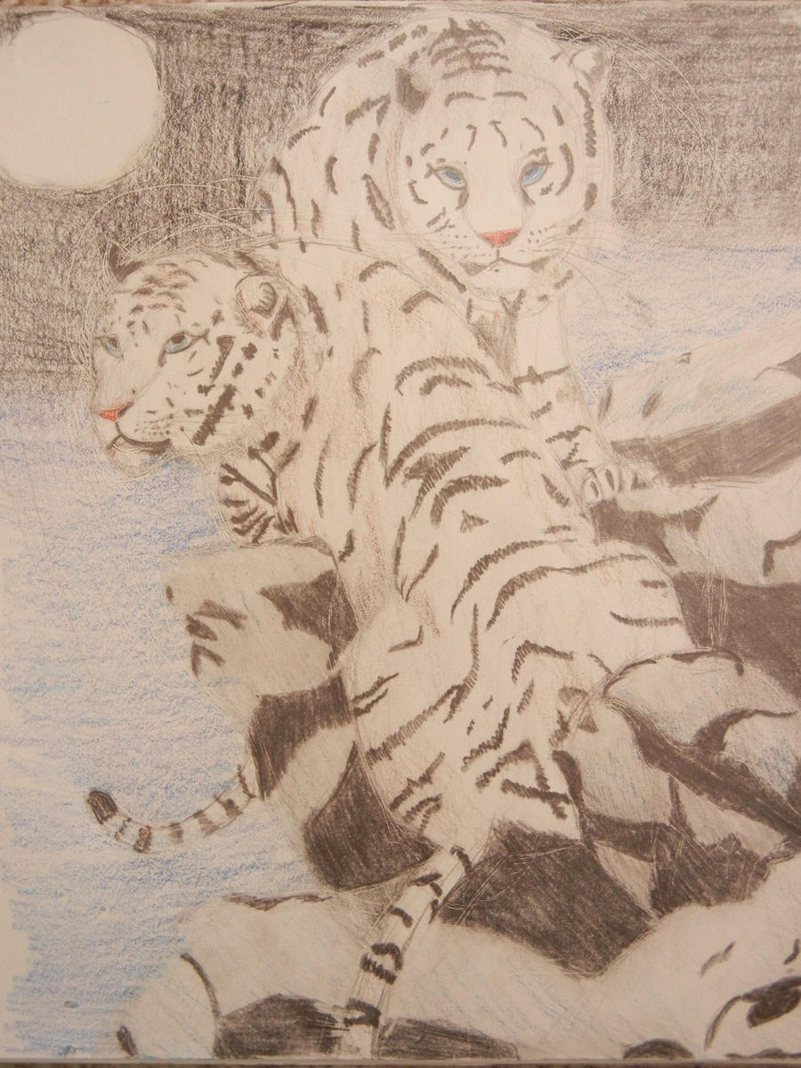 White Tigers