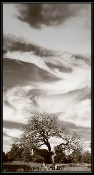 Twists and Swirls