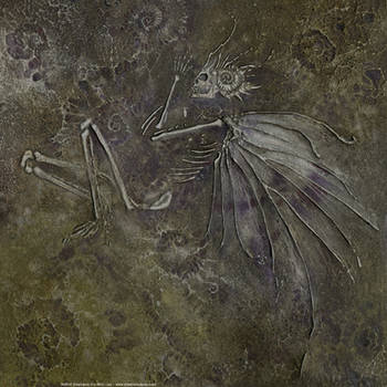 Fairy Fossil