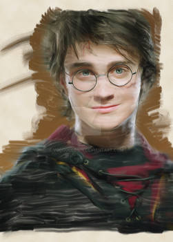 Harry Potter Oil Painting