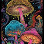 Ac1dBurN fuzzy blacklight poster of mushrooms  an 