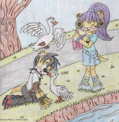 AshMina - Attacks of the ducks