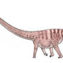 Cetiosauriscus (which is not Cetiosaurus, at all)