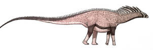 Amargasaurus sauntering
