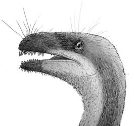 Ornitholestes doodle
