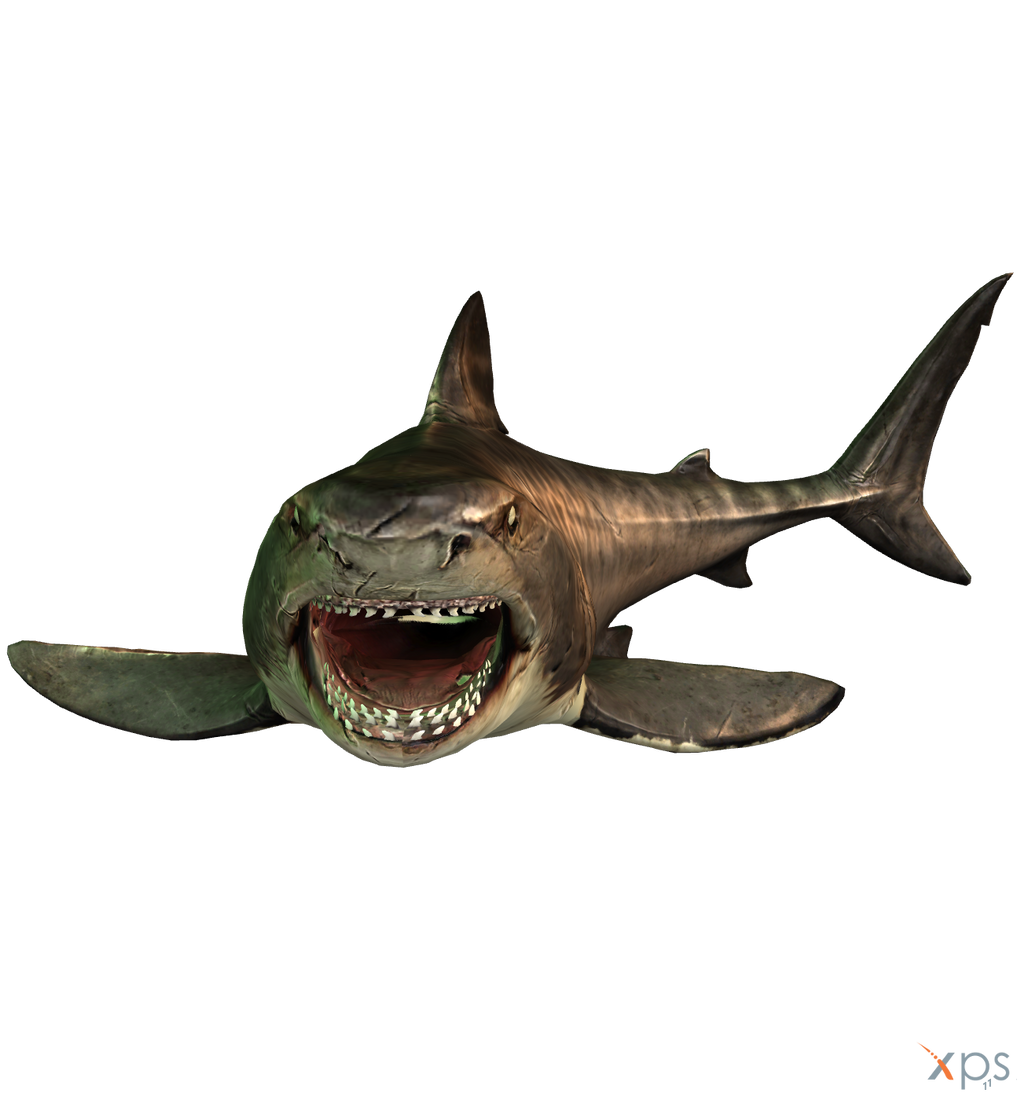 The Depth - Tiger Shark (Battle Scars) by MrUncleBingo