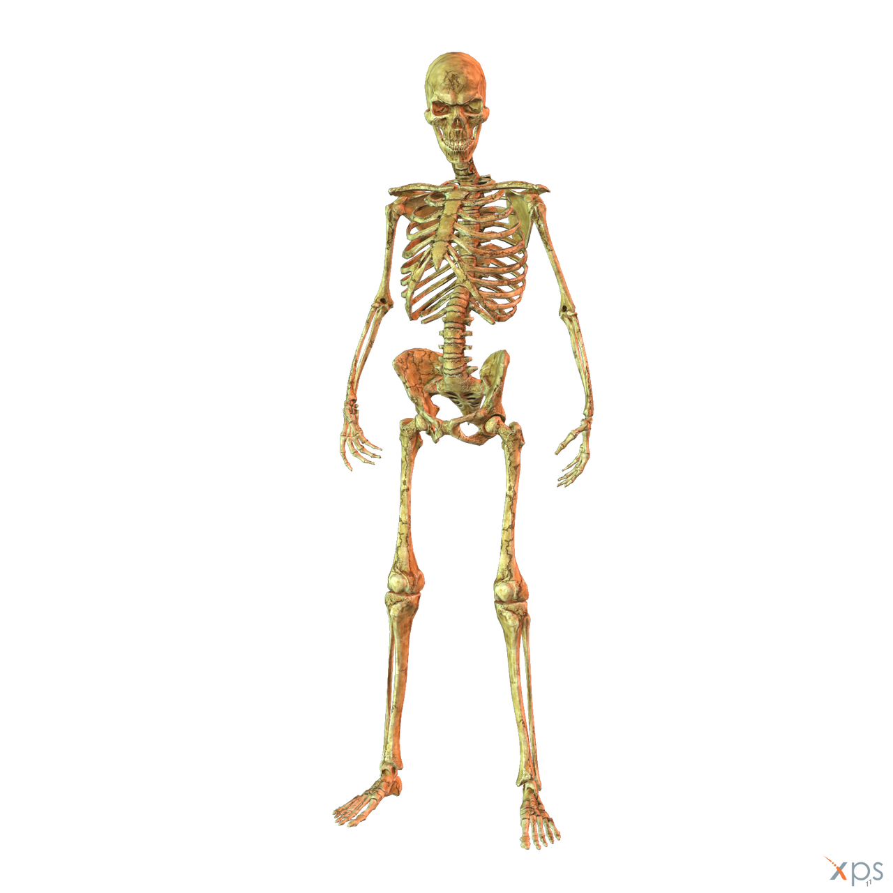 Evil Dead: The Game - Skeleton by MrUncleBingo on DeviantArt