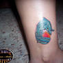 dolphin tattoo healed