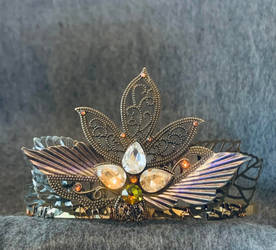 This week's tiara:  Winged