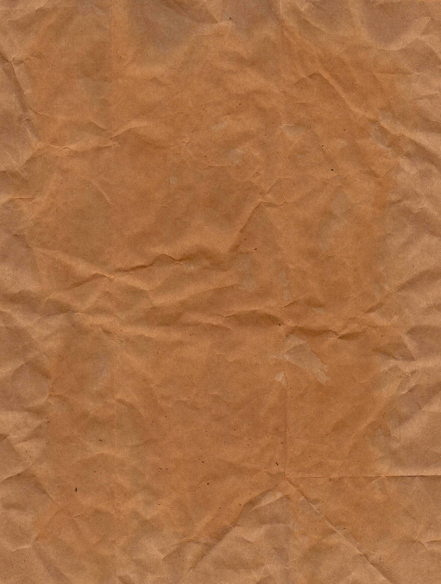 Paper Bag Lightly Stained by FelixMendoza