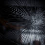Shattered...