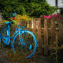 Summer in the city...