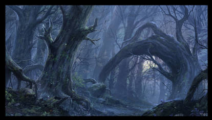 The Misty Wood