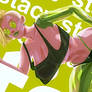 Stacy