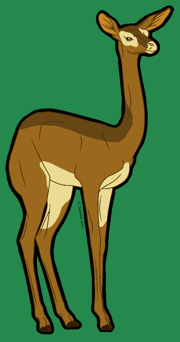 Gerenuk