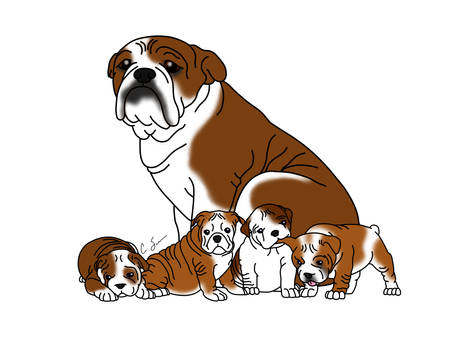 English Bulldog Family - Commission