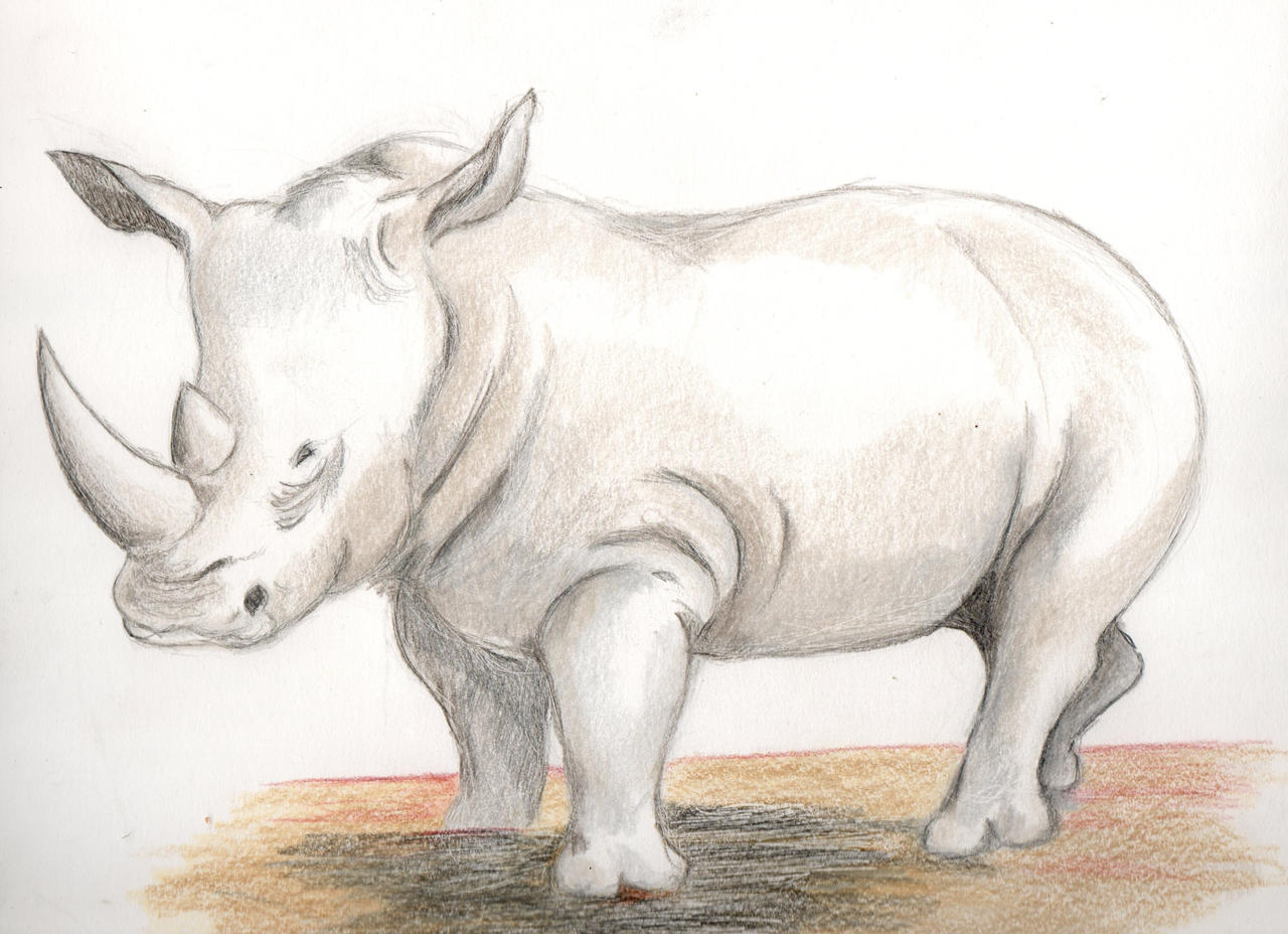Dibujo rinoceronte blanco by skywalker3232 on DeviantArt