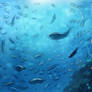 Sing in under the depth of sea