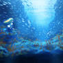 Under the sea