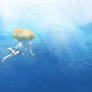 Ocean Blue