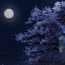 The night of Fullmoon and blossoms