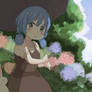 Sunny day in rainy season