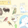 Recently interested animals and birds