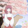 Cherry Blossoms
