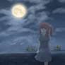 2nd full moon night