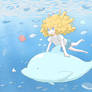 Let‘s go to the southern seas.