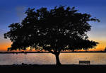 sunset silhouette by Lianne-Issa