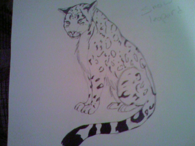 Snow leopard 2