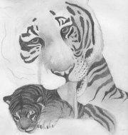 Tiger and Cub