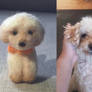 Needle Felted Poodle