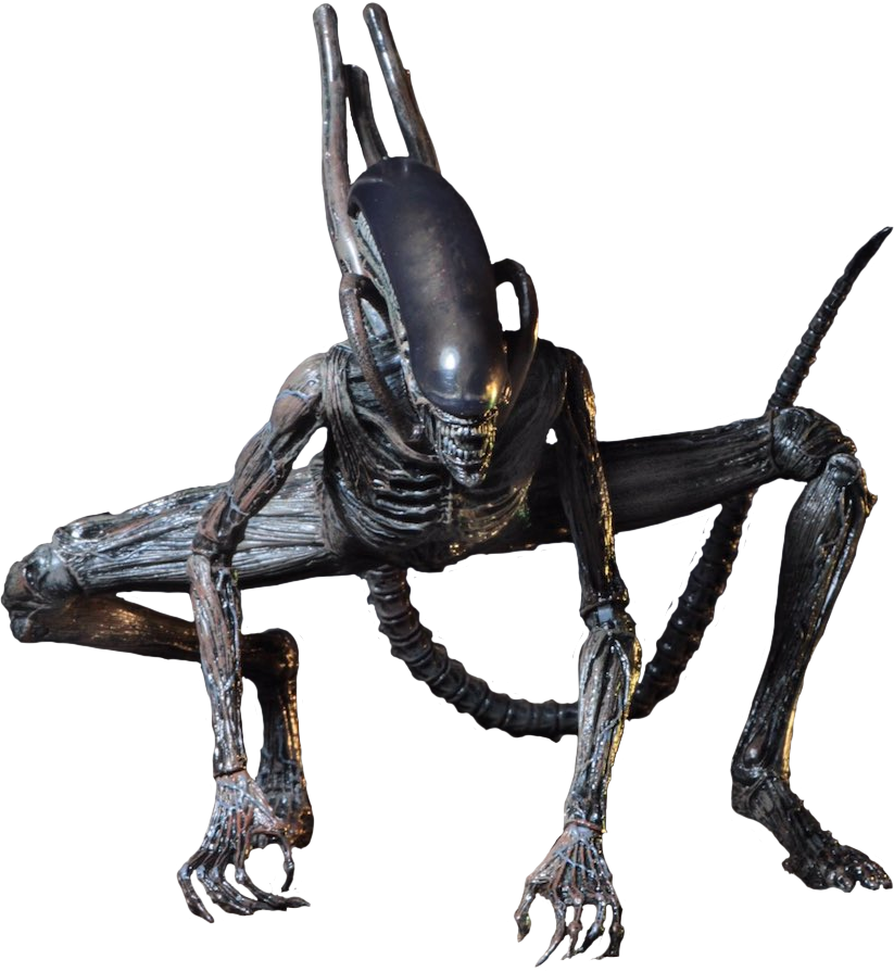 Alien-covenant-xenomorph-acton-figure by coolzero2a on DeviantArt