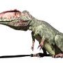 GiganotosaurusDR 07